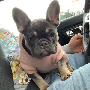 Meet your Posher, Jan mark